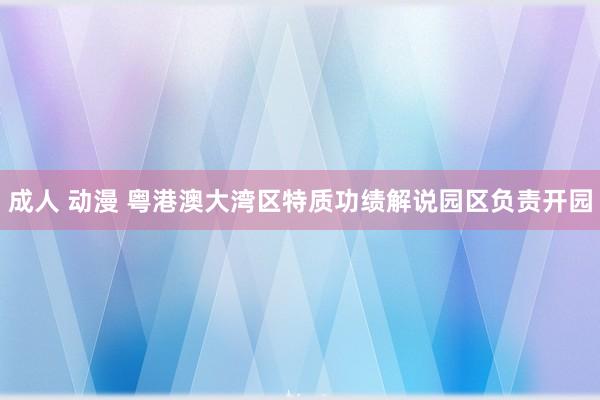 成人 动漫 粤港澳大湾区特质功绩解说园区负责开园